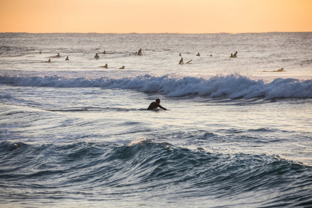 Ma mère (Sylvie Brossard) : une aînée au parcours inspirant